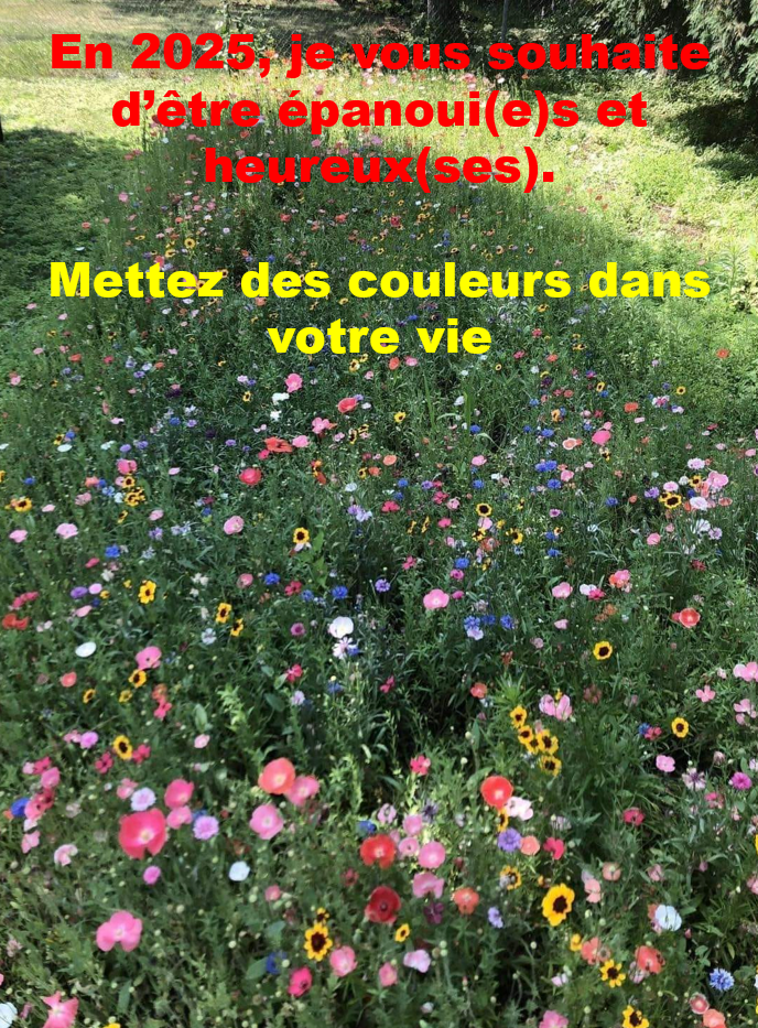 Mettez des couleurs dans votre vie